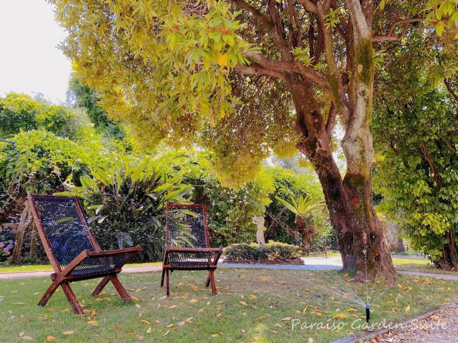 Paraiso Garden Suite--- Spacious & Downtown Porto Ngoại thất bức ảnh